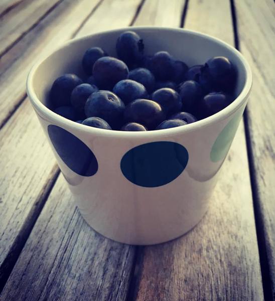 Blueberries in a Helbak Bowl - what's not to like